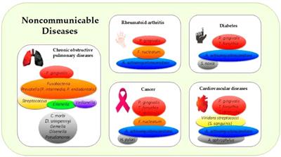 Can oral health care be a gateway to improve cardiovascular disease? A scoping review